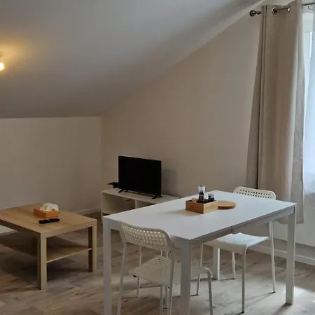 Au Pied De La Basilique Apartment Bourg-en-Bresse